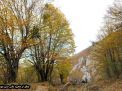 گزارش تصویری از فصل پاییز در جنگل ابر شاهرود